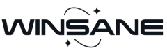 Winsane Logo